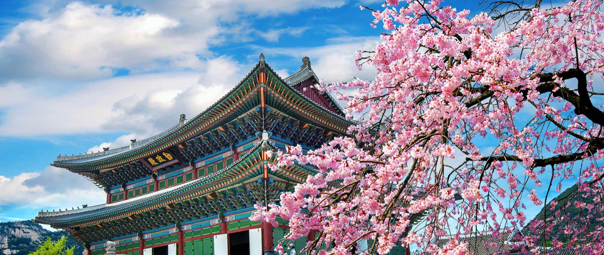 visa công tác hàn quốc